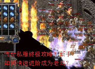 传奇私服终极攻略?新手如何快速进阶成为老鸟? 传奇私服终极攻略?新手如何快速进阶成为老鸟?