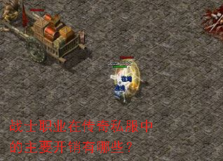 战士职业在传奇私服中的主要开销有哪些? 战士职业在传奇私服中的主要开销有哪些?