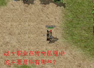 战士职业在传奇私服中的主要开销有哪些? 战士职业在传奇私服中的主要开销有哪些?