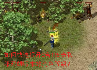 如何快速提升2合1传奇私服双雄版本的角色等级? 如何快速提升2合1传奇私服双雄版本的角色等级?