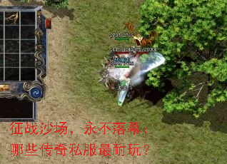 ��սɳ����������Ļ����Щ����˽�������棿