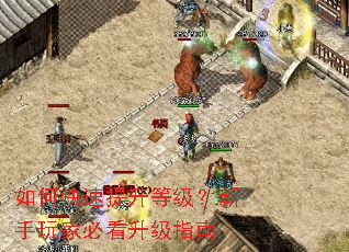 如何快速提升等级?新手玩家必看升级指南 如何快速提升等级?新手玩家必看升级指南