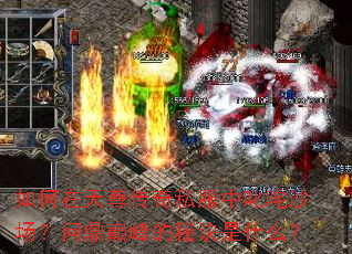如何在天尊传奇私服中叱咤沙场?问鼎巅峰的秘诀是什么? 如何在天尊传奇私服中叱咤沙场?问鼎巅峰的秘诀是什么?