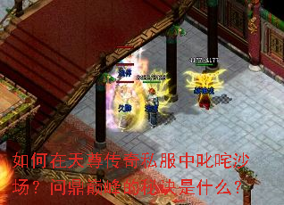如何在天尊传奇私服中叱咤沙场?问鼎巅峰的秘诀是什么? 如何在天尊传奇私服中叱咤沙场?问鼎巅峰的秘诀是什么?