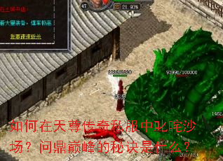 如何在天尊传奇私服中叱咤沙场?问鼎巅峰的秘诀是什么? 如何在天尊传奇私服中叱咤沙场?问鼎巅峰的秘诀是什么?
