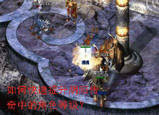 如何快速提升阴阳传奇中的角色等级? 如何快速提升阴阳传奇中的角色等级?