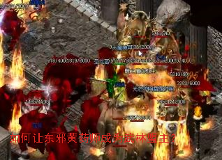 如何让东邪黄药师成为武林盟主? 如何让东邪黄药师成为武林盟主?