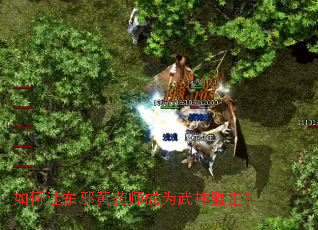 如何让东邪黄药师成为武林盟主? 如何让东邪黄药师成为武林盟主?