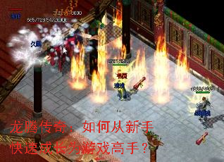 龙腾传奇:如何从新手快速成长为游戏高手? 龙腾传奇:如何从新手快速成长为游戏高手?