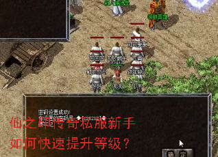 仙之印传奇私服新手如何快速提升等级? 仙之印传奇私服新手如何快速提升等级?