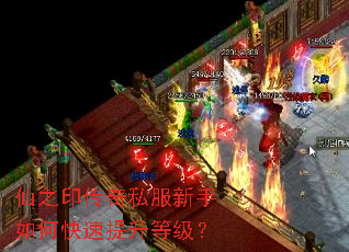 仙之印传奇私服新手如何快速提升等级? 仙之印传奇私服新手如何快速提升等级?