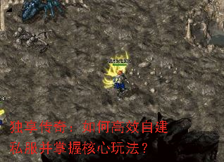 �������棺��θ�Ч�Խ�˽�������պ����淨��