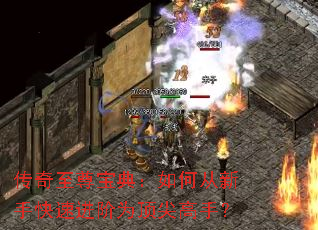 传奇至尊宝典:如何从新手快速进阶为顶尖高手? 传奇至尊宝典:如何从新手快速进阶为顶尖高手?