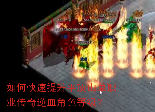 ��ο�������ƽ��ɽ��ְҵ������Ѫ��ɫ�ȼ���
