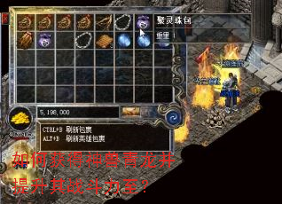 如何获得神兽青龙并提升其战斗力至? 如何获得神兽青龙并提升其战斗力至?