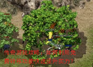 传奇游戏攻略:如何利用免费转移功能快速提升实力? 传奇游戏攻略:如何利用免费转移功能快速提升实力?
