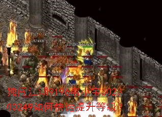 独闯江湖9196韦小宝302300249如何快速提升等级? 独闯江湖9196韦小宝302300249如何快速提升等级?