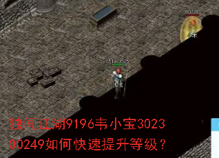 独闯江湖9196韦小宝302300249如何快速提升等级? 独闯江湖9196韦小宝302300249如何快速提升等级?
