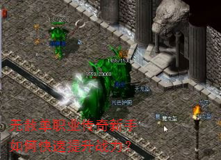 ���ⵥְҵ����������ο�������ս����
