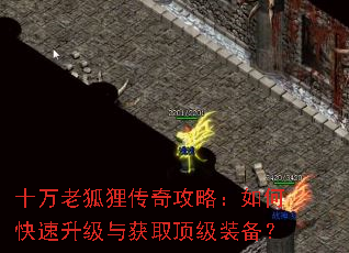 十万老狐狸传奇攻略:如何快速升级与获取顶级装备? 十万老狐狸传奇攻略:如何快速升级与获取顶级装备?