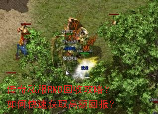 传奇私服RMB回收攻略?如何快速获取高额回报? 传奇私服RMB回收攻略?如何快速获取高额回报?