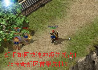 新手如何快速冲级并抢占1.76传奇新区首服先机? 新手如何快速冲级并抢占1.76传奇新区首服先机?