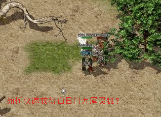 如何快速获得白日门九尾灵狐? 如何快速获得白日门九尾灵狐?