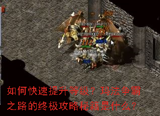 如何快速提升等级?玛法争霸之路的终极攻略秘籍是什么? 如何快速提升等级?玛法争霸之路的终极攻略秘籍是什么?
