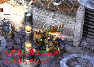 如何利用苍龙之血快速提升角色战力? 如何利用苍龙之血快速提升角色战力?