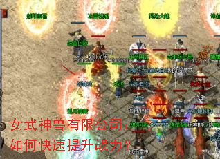 女武神兽有限公司:如何快速提升战力? 女武神兽有限公司:如何快速提升战力?