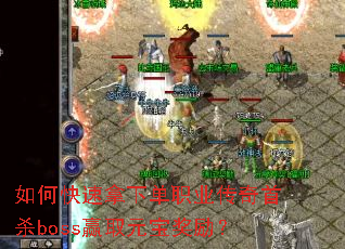��ο������µ�ְҵ������ɱbossӮȡԪ��������