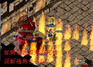 如何快速提升不死传说新服角色等级? 如何快速提升不死传说新服角色等级?