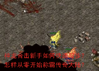神龙合击新手如何快速起步?怎样从零开始称霸传奇大陆? 神龙合击新手如何快速起步?怎样从零开始称霸传奇大陆?