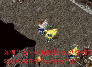 如何让古·神雕侠侣6662少年杨过302600249在传奇中快速升级? 如何让古·神雕侠侣6662少年杨过302600249在传奇中快速升级?