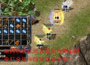 如何快速在风云霸业传奇单职业打金服中赚取大量元宝? 如何快速在风云霸业传奇单职业打金服中赚取大量元宝?