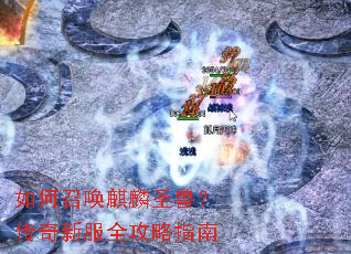 ����ٻ�����ʥ�ޣ������·�ȫ����ָ��