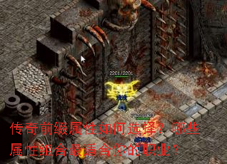 传奇前缀属性如何选择?哪些属性组合最适合你的职业? 传奇前缀属性如何选择?哪些属性组合最适合你的职业?