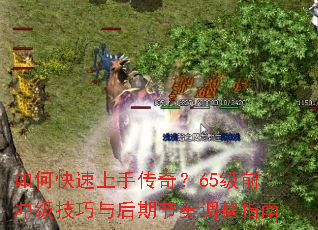 ��ο������ִ��棿65��ǰ�弶��������ڽ������ָ��