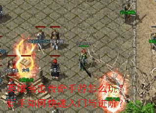 英雄合击传奇手游怎么玩?新手如何快速入门与进阶? 英雄合击传奇手游怎么玩?新手如何快速入门与进阶?