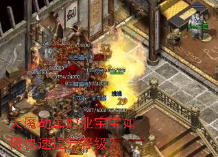 天魔劫单职业宝宝如何快速提升等级? 天魔劫单职业宝宝如何快速提升等级?