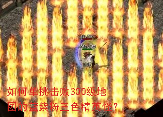 如何单挑击败300级地图的蓝紫粉三色精英怪? 如何单挑击败300级地图的蓝紫粉三色精英怪?