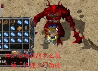 神之浩劫新服怎么玩?新手快速入门指南 神之浩劫新服怎么玩?新手快速入门指南