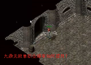 �Ŷ����ⵥְҵ�������������