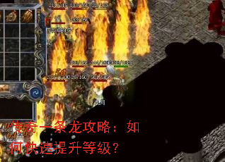 传奇一条龙攻略:如何快速提升等级? 传奇一条龙攻略:如何快速提升等级?