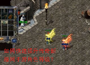 如何快速提升传奇新服网手游角色等级? 如何快速提升传奇新服网手游角色等级?