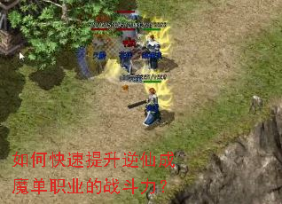 如何快速提升逆仙成魔单职业的战斗力? 如何快速提升逆仙成魔单职业的战斗力?