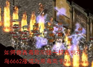 ���������ŷ����һ�����һ���6662����Ϊ�ö����֣�