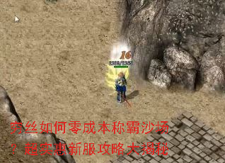 穷丝如何零成本称霸沙场?超实惠新服攻略大揭秘 穷丝如何零成本称霸沙场?超实惠新服攻略大揭秘