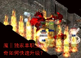 ħ�����ҵ�ְҵ������ο���������