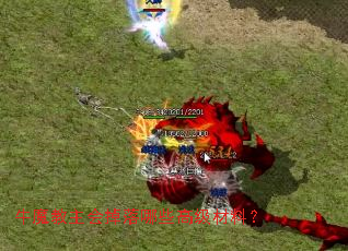 牛魔教主会掉落哪些高级材料? 牛魔教主会掉落哪些高级材料?